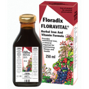 Salus Floradix Fer Et Plantes 84 Comprimés