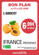 Abricot
