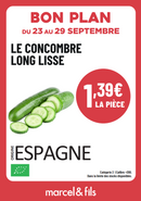 Concombre lisse