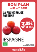 Prune rouge fortuna